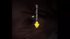 चलाएँ नोहिमी सरप जीनस लामासिन एनजी डेडे