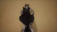 Oynat İki kurt çoğalır - vahşi yaşam