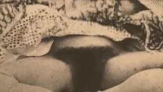 Jouer Le temps d'origine du porno prend exception '1850 vs 1950'