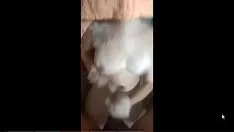 Play Whiten delicious