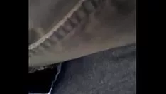 Redare În autobuz, fundul ei îl vibrează