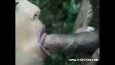 Reproduzir Cópia mestre californiana. sashaya dia inteiro otário