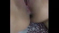 চালান আনন্দদায়ক বিড়াল (3)