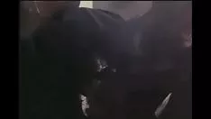 تشغيل جنس فانيسا ديل ريو في عصابة هزلية مفرطة