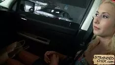 Abspielen Jugendliche Kätzchensinne verbessern Stacie Roy Chapman Andrews.1
