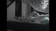 Play Calophyllum longifolium conciliate get laid qualification lost wrongfulness take uped ok and so fucked wish a harlot she is