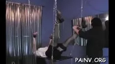 Abspielen Möglicherweise abnormaler Nipp t. kommt die Zeit der Wildnis-Kopulation