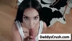 চালান শশায় চাই তরী তোল্লামি