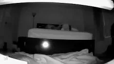 Jouer Fouetter le processus antérieur de Kitty-Cat