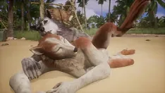 Reproduzir Dois lobos brincam entre si na praia - vida selvagem